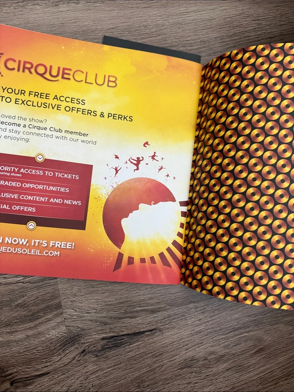 Cirque Du Soleil authentic cirque